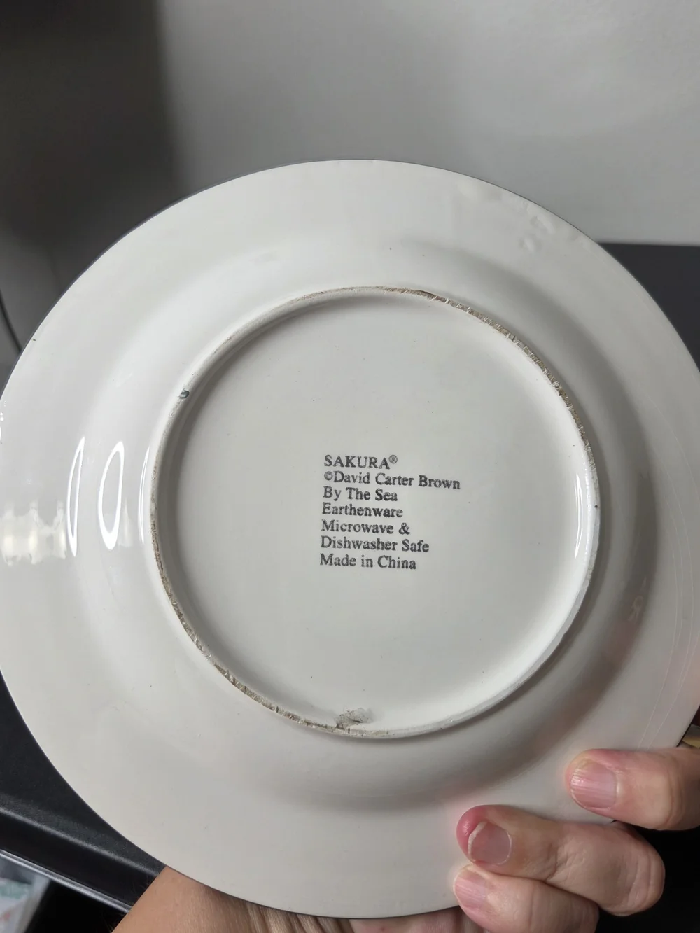 Sakura By The Sea Salad Plates Designed By David Carter Brown 8